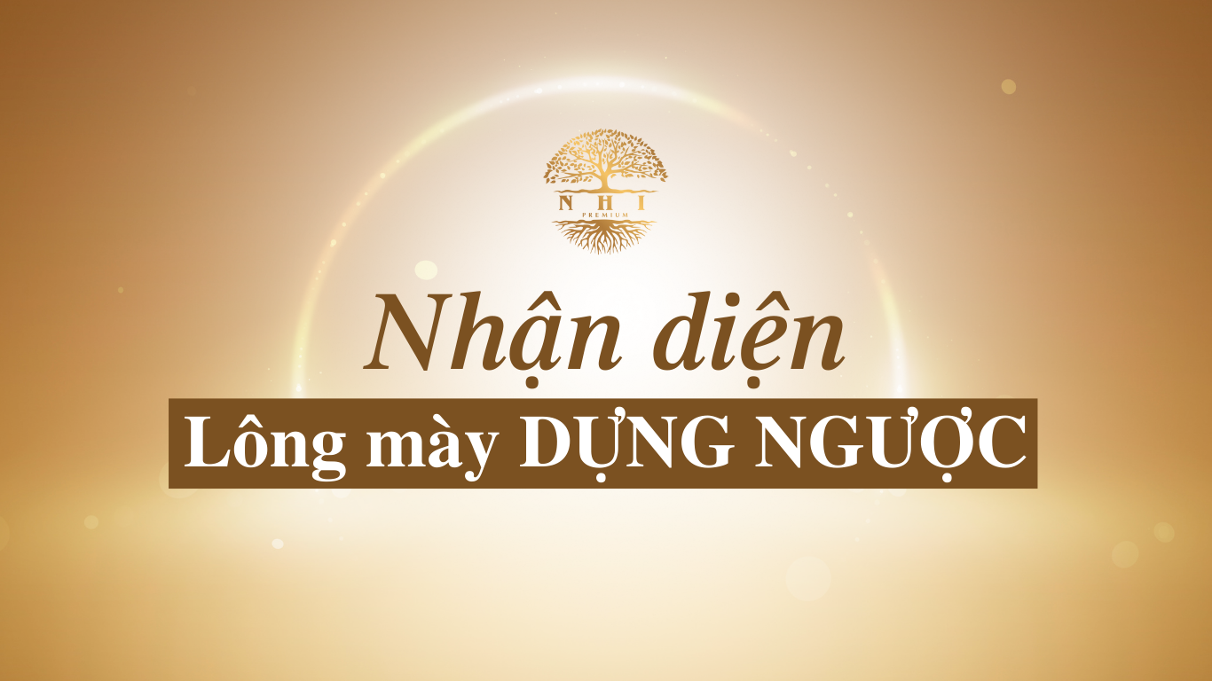 Nhận diện lông mày dựng ngược và giải mã ý nghĩa nhân tướng học